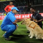 MS Dhoni Source: CricTracker