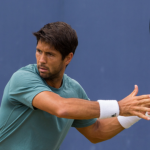 ernando Verdasco lashes out at ball-boy
