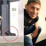 Emiliano Sala's dog Nala