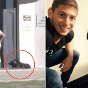 Emiliano Sala's dog Nala