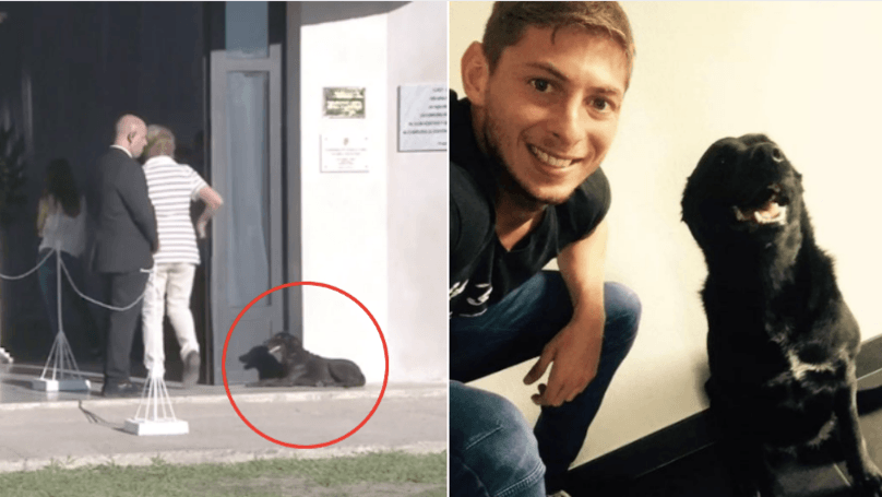 Emiliano Sala's dog Nala