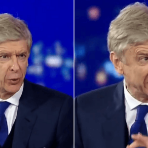 arsene wenger punditry