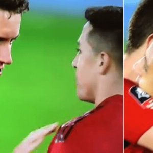 ander herrera alexis