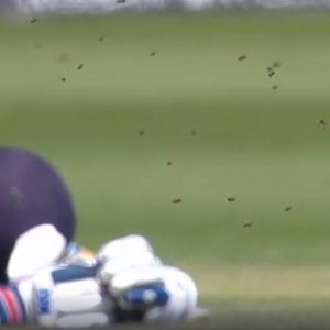 WATCH: Players bow down as a swarm of bees interrupt Sri Lanka vs South Africa 2019 Cricket World Cup match