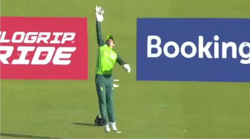 Quinton de Kock catch vs Australia: Watch de Kock grab stunning catch to dismiss Glenn Maxwell