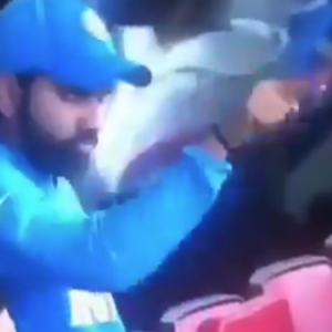 WATCH: Rohit Sharma's amazing motivating gesture for Ravindra Jadeja after latter's valiant knock during World Cup semi-final vs New Zealand