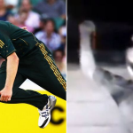 Hotspot exposes Doug Bollinger's fake hair