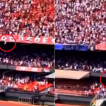 Watch: A fan falls 40 ft from the top tier of a football stadium in Brazil before landing on a 13-year old girl