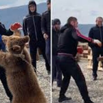 Khabib Nurmagomedov News: PETA send a complaint to UFC after a video of the Lighweight Champion wrestling a bear emerges