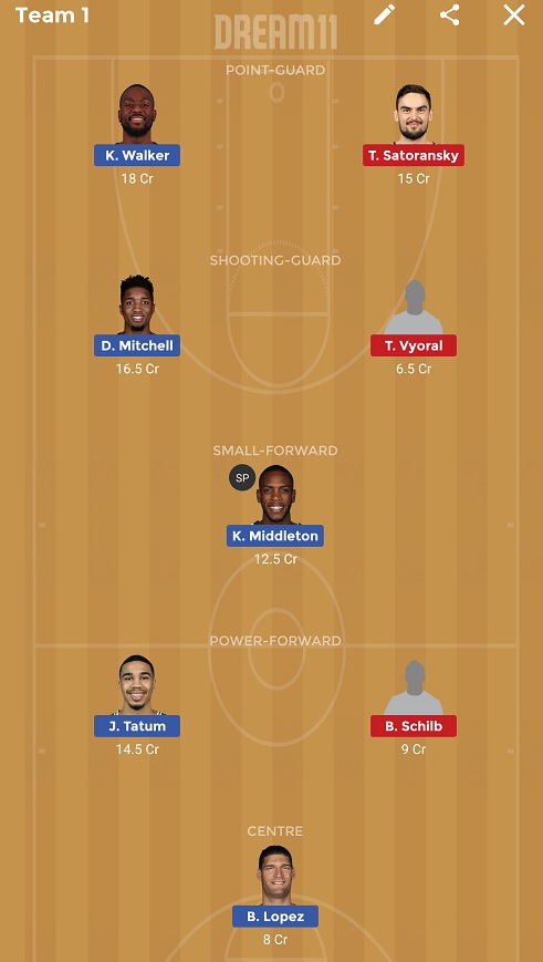 USA vs CZE Dream11