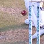 WATCH: David Warner survives dismissal as bails don't fall despite touching stumps in Gabba Test
