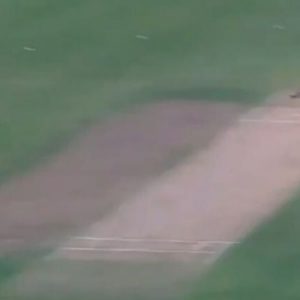 WATCH: Yusuf Pathan grabs breathtaking catch vs Goa in Syed Mushtaq Ali Trophy 2019-20