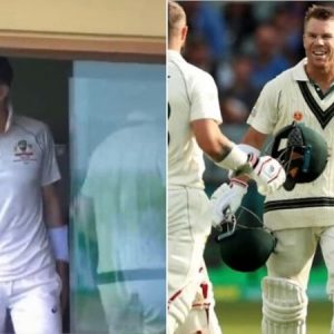 David Warner triple century: Why Tim Paine declared Australian innings with Warner at 335*