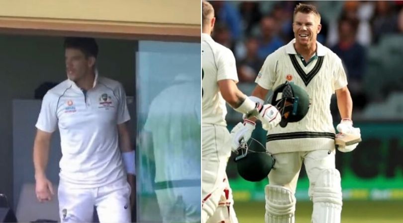 David Warner triple century: Why Tim Paine declared Australian innings with Warner at 335*