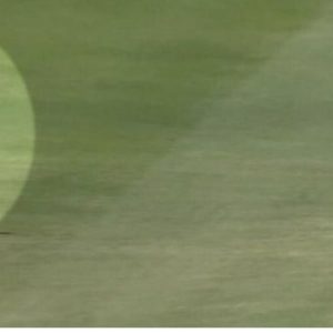 WATCH: Ashton Agar grabs one-handed eye-catching catch to dismiss Henry Hunt in Sheffield Shield