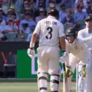 "He knows the bloke in the truck": Tim Paine sledges Ross Taylor at MCG