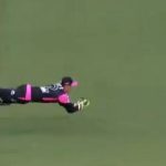Josh Philippe catch vs Scorchers: Watch Sixers wicket-keeper dives full length to dismiss Liam Livingstone in BBL 2019