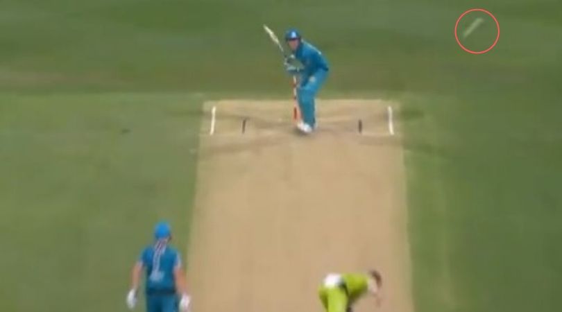 WATCH: Daniel Sams bowls dead ball in Brisbane Heat vs Sydney Thunder BBL 2019 match
