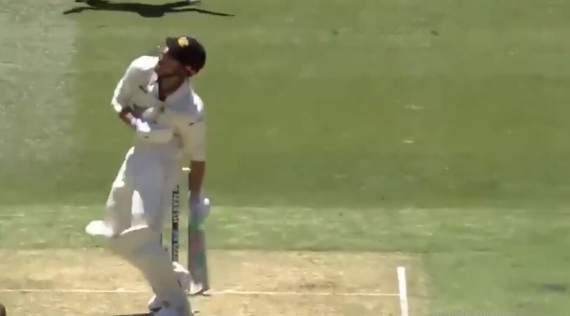 WATCH: Shaun Marsh and Marcus Stoinis get brutally hit as play gets abandoned at the MCG
