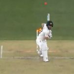 WATCH: Matthew Wade shoulders arms to get out against Tim Southee's in-swinging delivery
