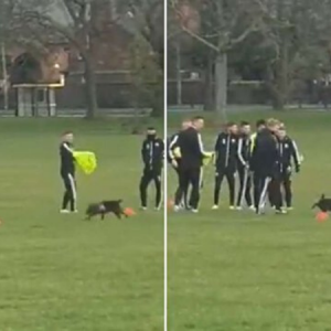 Dog interrupts Sheffield United’s training session by urinating on a cone ahead of match against Liverpool