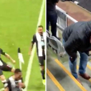 Newcastle Winger Matt Ritchie kicked corner flag into a fans crotch while celebrating winner vs Chelsea