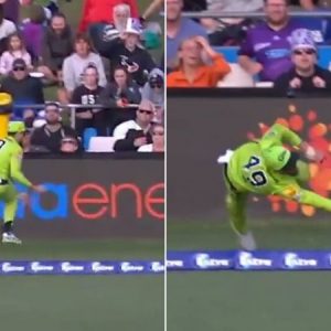 WATCH: Alex Ross nearly grabs catch of the millennium in Hurricanes vs Thunder BBL match