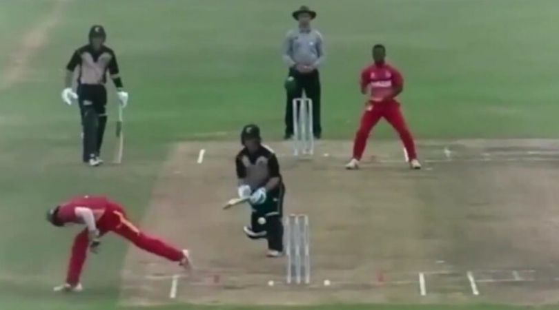 WATCH: Dane Schadendorf affects magnificent stumping in Zimbabwe vs New Zealand U-19 Quadrangular series match