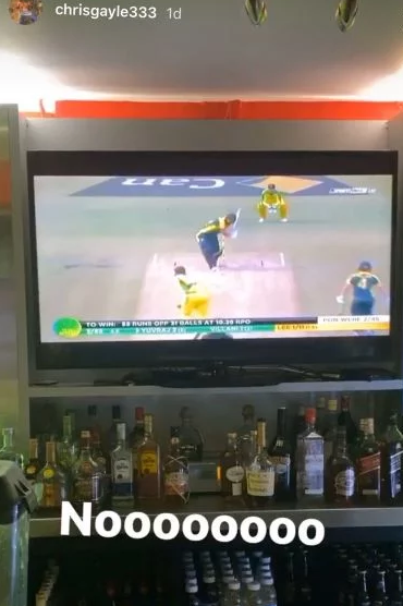 "Not a Test match": Chris Gayle mocks Yuvraj Singh's slow innings in Bushfire Bash