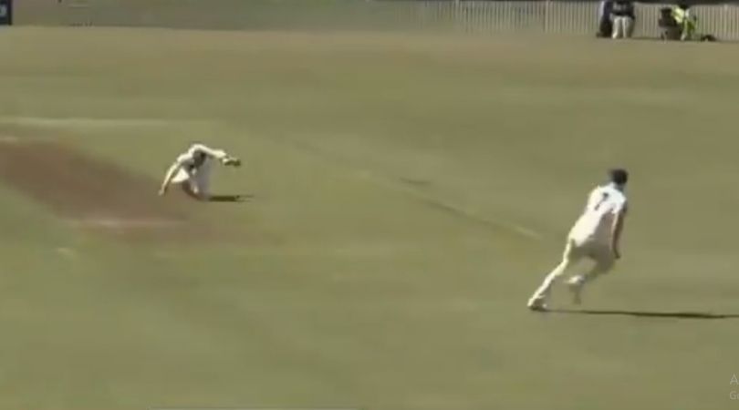 WATCH: Nathan Lyon grabs flying stunner to dismiss Callum Ferguson in Sheffield Shield