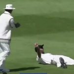 WATCH: Daryl Mitchell grabs one-handed stunner to dismiss Jasprit Bumrah in Wellington Test