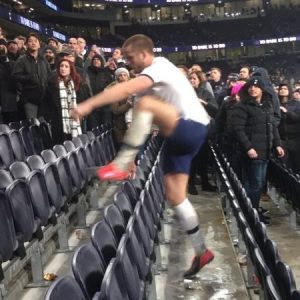 Eric Dier run into stands to confront fan after defeat against Norwich City