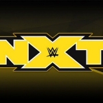 Several WWE Superstars are open to moving to NXT
