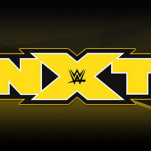 Several WWE Superstars are open to moving to NXT