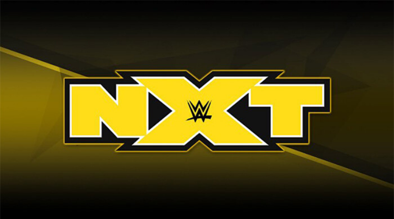 Several WWE Superstars are open to moving to NXT