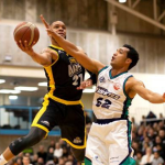 NG Vs AKH Dream11 Prediction : Auckland Huskies Vs Nelson Giants Best Dream 11 Team for National Basketball League 2020