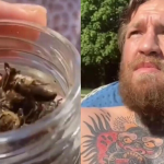 Watch Conor McGregor eats dead bees for breakfast