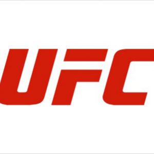 Individual and Cumulative Win/Loss Record of all Seven UFC Male Champions?