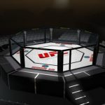 What Is The Next UFC Event, and When It Is?