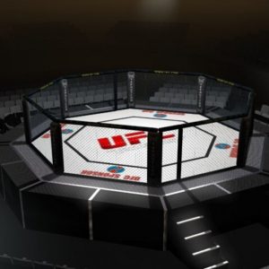 What Is The Next UFC Event, and When It Is?