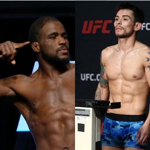 UFC News: Corey Anderson and Ray Borg are Released By UFC