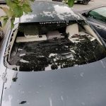 Kevin O'Brien car window: Irish batsman involved in hilarious Twitter chat with Toyota after hitting six to break own car's window