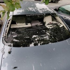 Kevin O'Brien car window: Irish batsman involved in hilarious Twitter chat with Toyota after hitting six to break own car's window