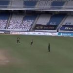 CPL 2020: Najibullah Zadran grabs terrific one-handed stunner off Mohammad Nabi to dismiss Chris Lynn