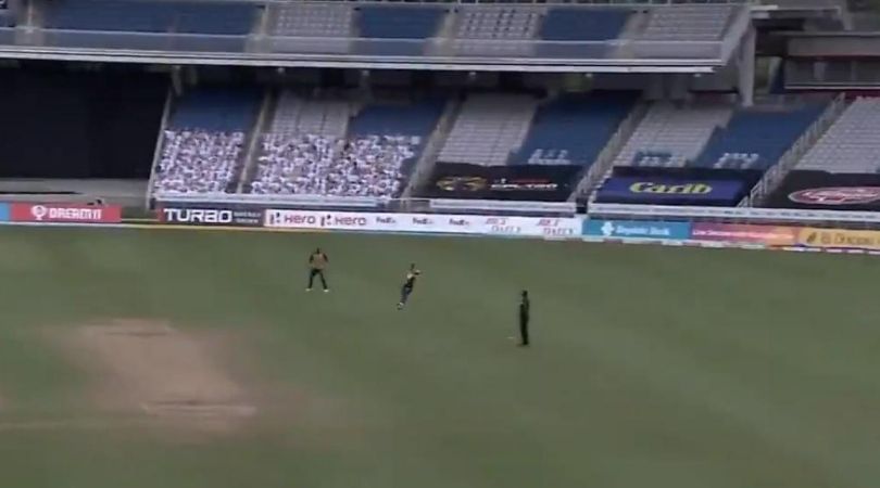 CPL 2020: Najibullah Zadran grabs terrific one-handed stunner off Mohammad Nabi to dismiss Chris Lynn