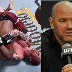 "This Was One of The Worst Things I've Ever Seen"- Dana White Used Stern Words To Describe The Controversial Ed Herman Vs. Mike Rodriguez Finish