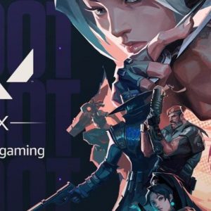 Valorant Vanguard cracks down on 2 major cheat dealers, over 4,500 users also lose their money