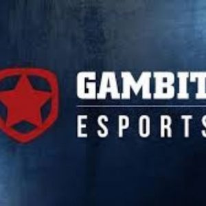 DOTA 2 ROSTERS: Gambit Esports announces its new Dota 2 roster