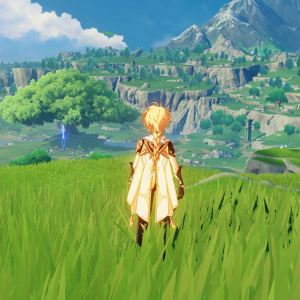 Genshin Impact glitch