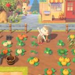 The Game Awards 2020 Nomination : List of the categories and nominees for Gaming